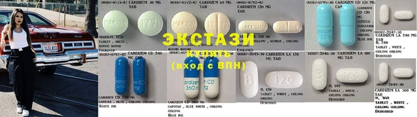 хмурый Аркадак