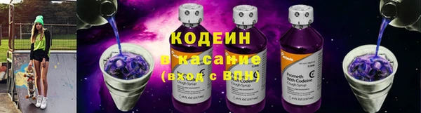 хмурый Аркадак