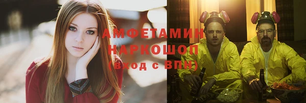 хмурый Аркадак