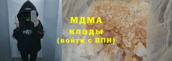 хмурый Аркадак