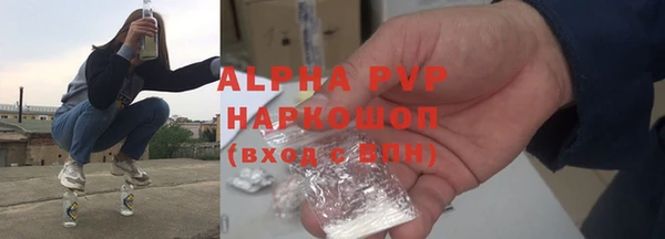 хмурый Аркадак