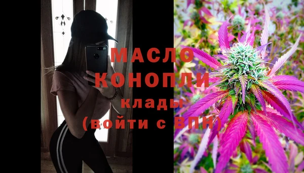 хмурый Аркадак
