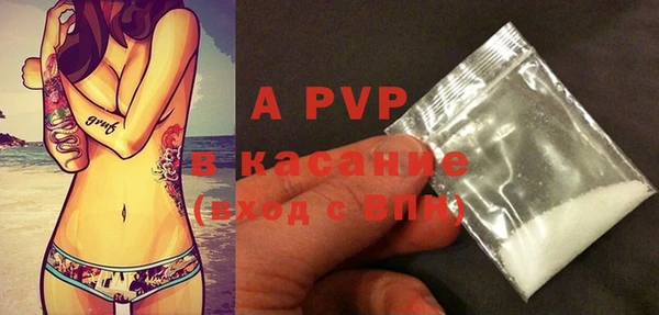 хмурый Аркадак